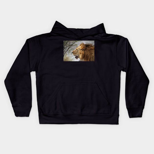 Profile Portrait, Large Male Lion, Maasai Mara, Kenya Kids Hoodie by Carole-Anne